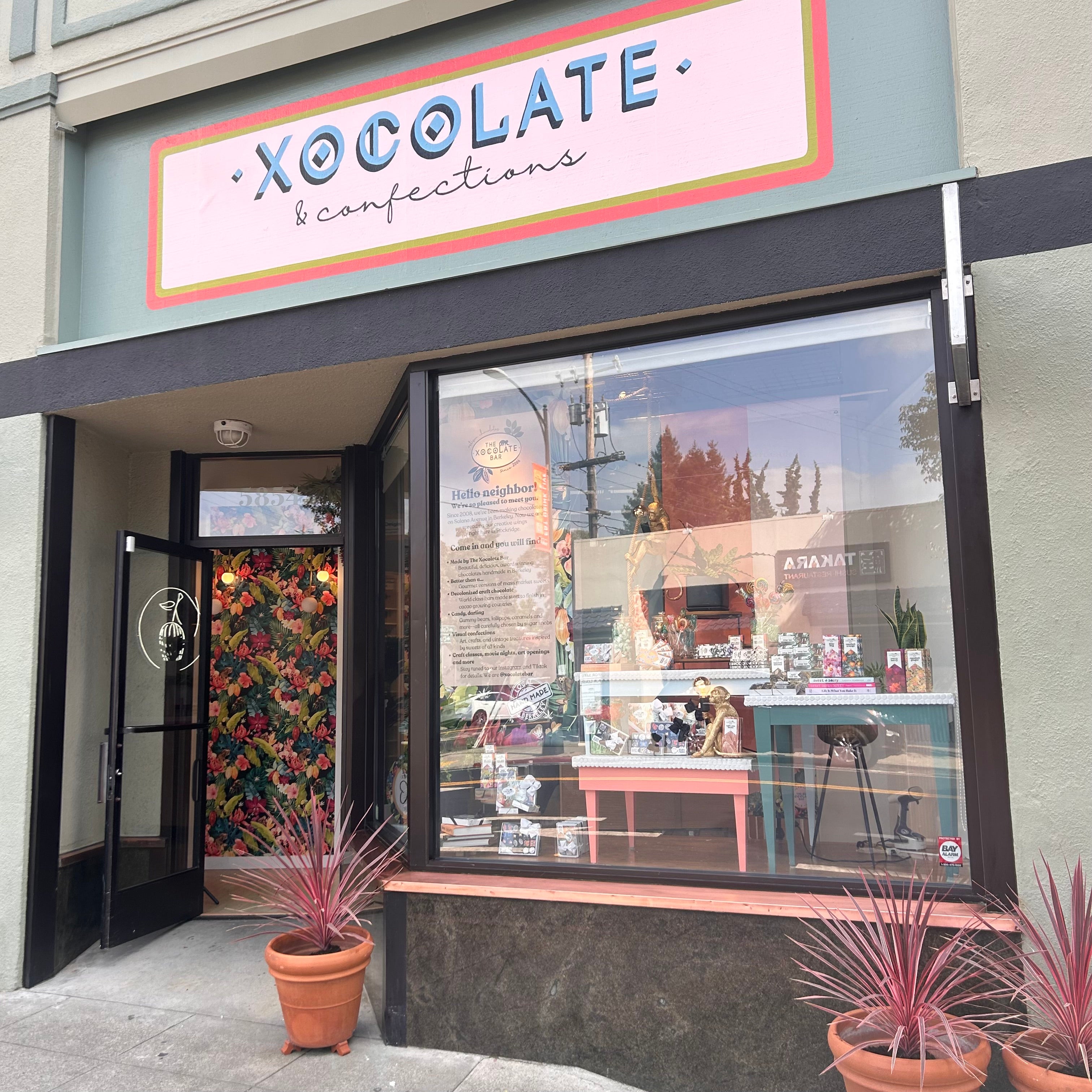 Help Us Grow | The Xocolate Bar